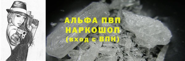 стаф Верея