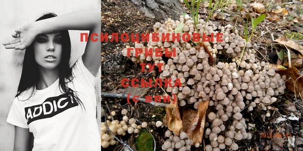 индика Нефтегорск